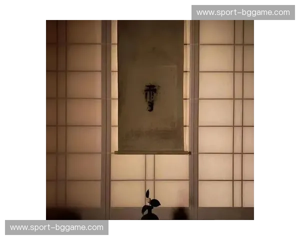 破译霓虹与阴翳的感官密码：一场关于“日本vs视”的美学越境之旅